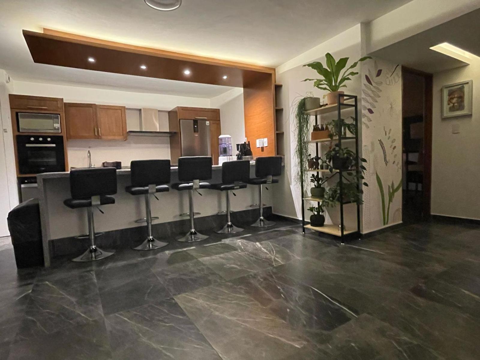 Great Apartment In The Heart Of Coyoacan Mexico by Eksteriør bilde