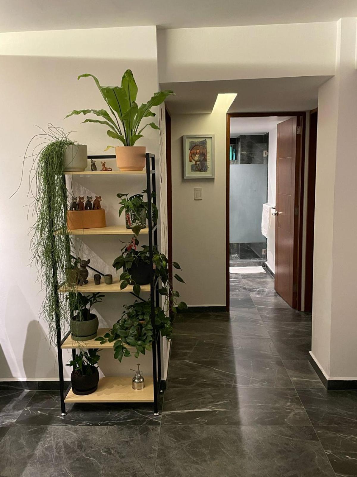 Great Apartment In The Heart Of Coyoacan Mexico by Eksteriør bilde