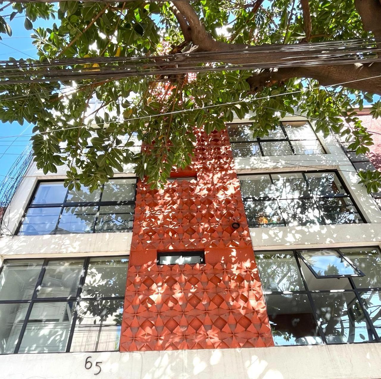 Great Apartment In The Heart Of Coyoacan Mexico by Eksteriør bilde